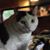 Beau Boultinghouse's profile image