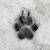 Pabu Sivek's profile image