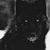 Yvette Pulli's profile image