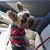 Tammy Burns Davis's profile image