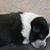 Nancy Hovanic's profile image