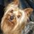 Kathi Freeman Mesloh's profile image
