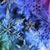 Roxanne Dulick's profile image