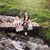 Amber Barnhart Robertson's profile image