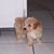 Donna Nemec's profile image
