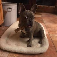 Mary John Caiafa's profile image