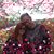 John Palumbo's profile image
