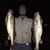 Carl Riems's profile image