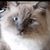 Lisa Tussey's profile image