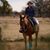 Cheryl Shadden's profile image