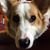 Penny Suttle Long's profile image
