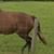 Mike Bride's profile image