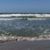 Sue Haddad Leitzel's profile image