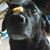 Sherry Millen's profile image