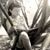 Brenda Coltrane Hubbard's profile image