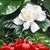Marguerite Tricarico's profile image
