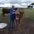 Linda Comeaux's profile image