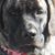 Kelly Woods's profile image