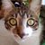 Tulio Romairone's profile image