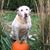 Fred Zeppieri's profile image