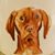 Staci Stanley's profile image