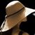 Ann Prowse's profile image
