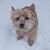 Tammie Gillespie Dillon's profile image