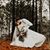 Noelle Joy Hall's profile image