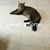 Tina Cudjo's profile image