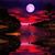 Erika Bafus's profile image