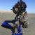Lori Powell's profile image
