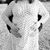 Jillian Ewen's profile image