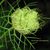 Sandy Haefner's profile image
