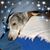 Anne Sharp Oleksy's profile image