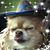 Tina Marie's profile image