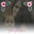 Gina Bernacki's profile image