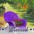 Julie Menzinger- Wolf's profile image