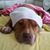 Kay Shea-Lysse's profile image