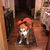Laura Ackerman's profile image