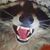 Andrea Kaehler's profile image