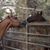 Vicki Lee Crookham Hashimoto's profile image