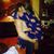 Terri Vickery Holland's profile image