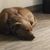 Christopher Michael Hovey Sr.'s profile image