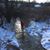 Denise Quillen Snoddy's profile image