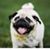 Yvonne Valliere DeCatur's profile image