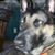 Kevin Kitson's profile image