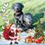 Joy Hutcherson's profile image