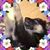 Shannon Carr's profile image