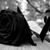 Maria Torres's profile image