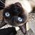 Barb Keca Hendrickson's profile image